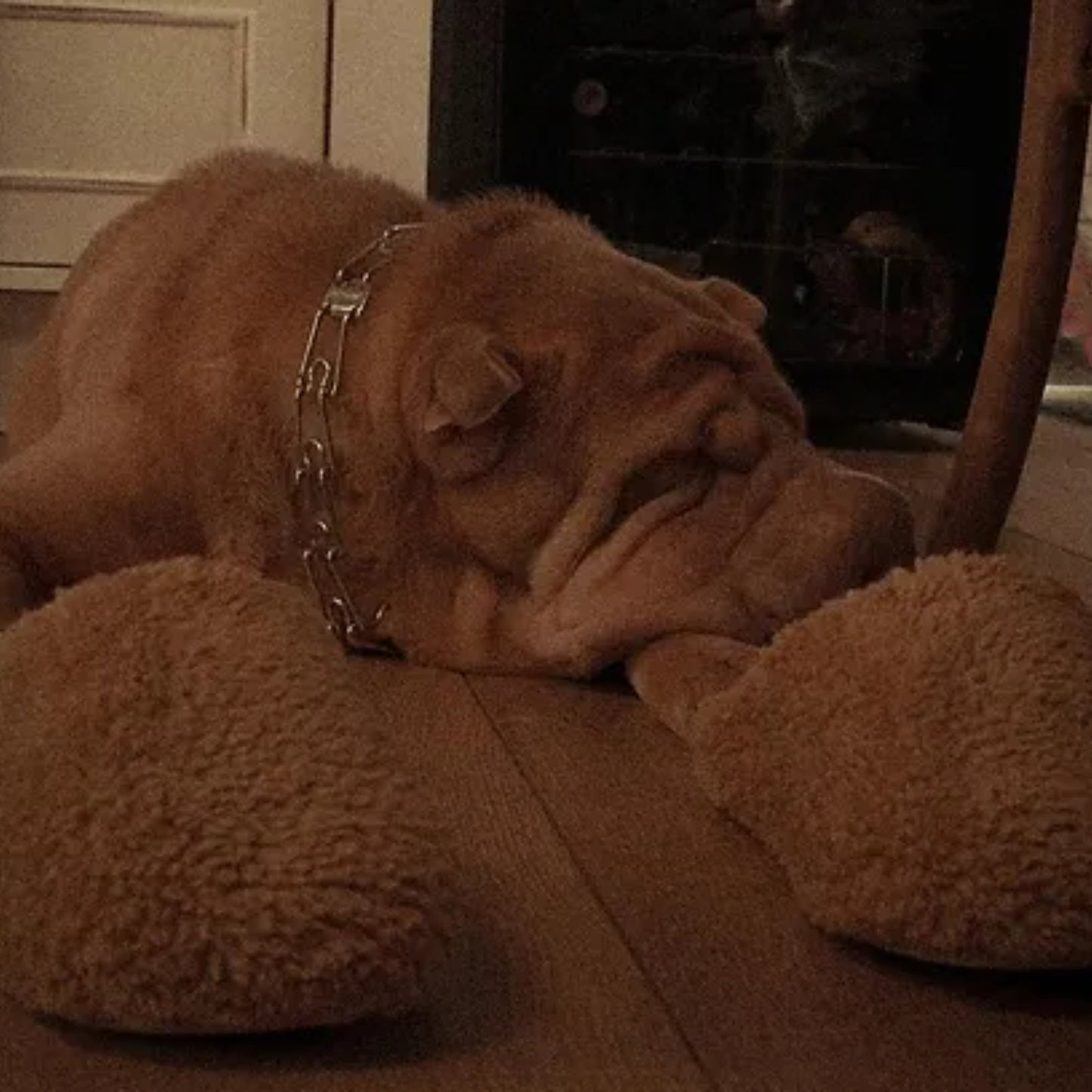 הדובי החום - כפכפי בית פרוותיים לגברים של הוט טונה מק"ט AH - 406 - Adiss